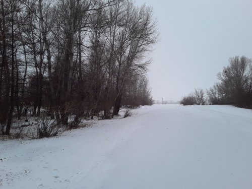 По белой тропе
