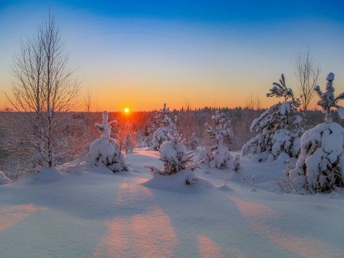 Cолнечное утро