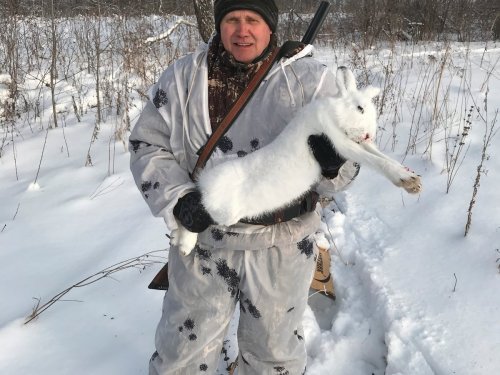 Добыли зайку!