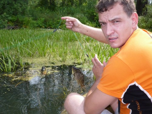 Лето, карасики.