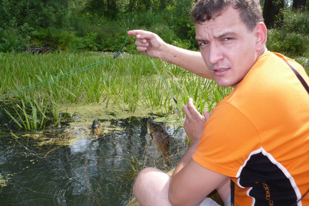 Лето, карасики.
