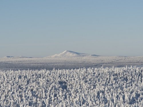 Средний Басег