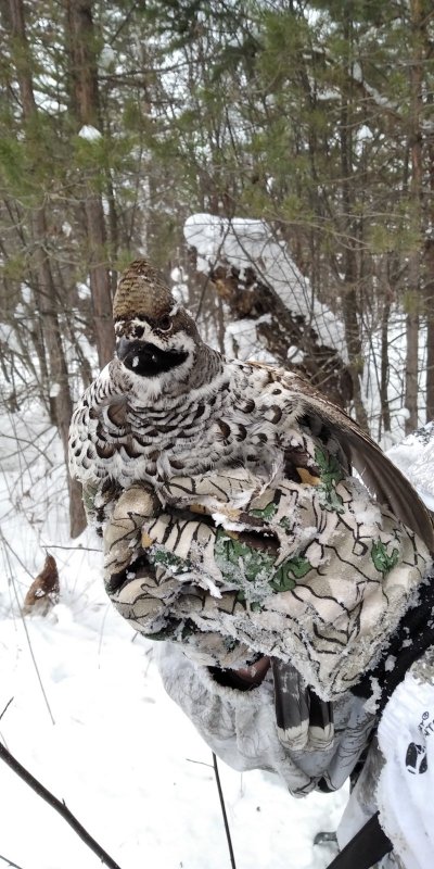 Красавчик!