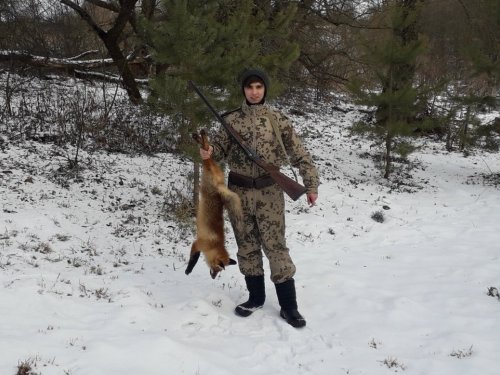 Лисовин