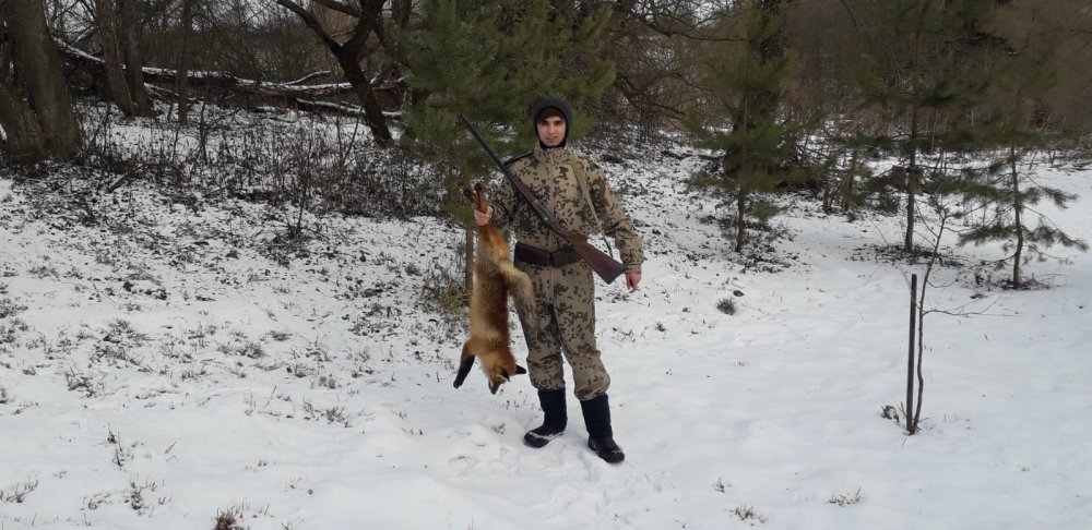 Лисовин