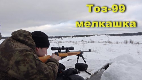 ТОЗ-99. Самозарядная мелкашка. Отстрел Охотником - 410 Э.