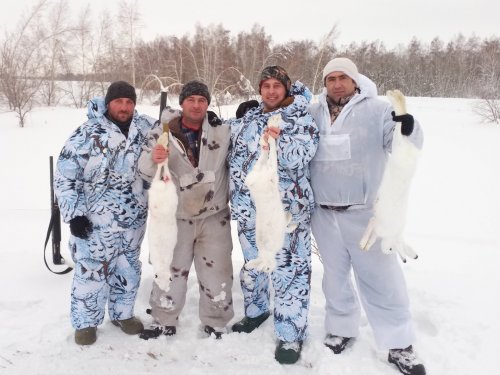 толпой хорошо и зайцев гонять