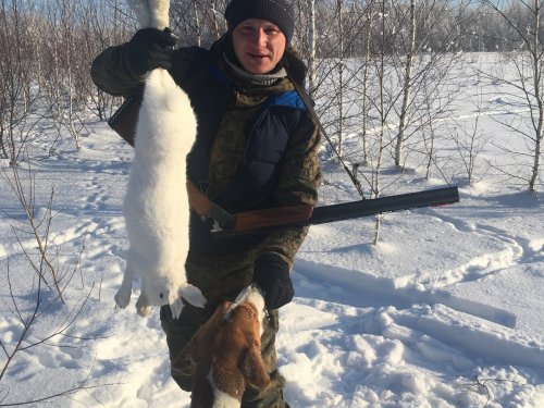 Заяц