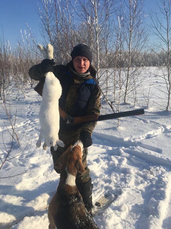 Заяц