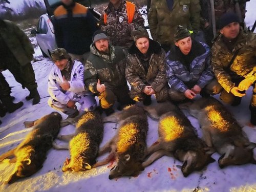Работа егерей в Московской области.
