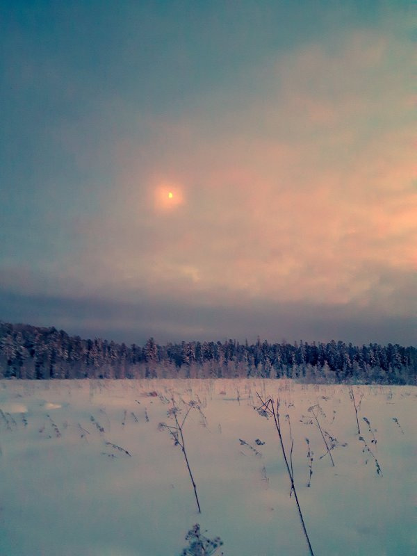Лунная подсветка
