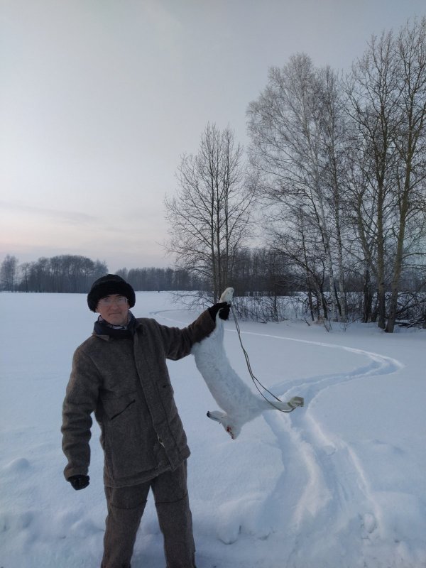 Есть еще зайцы в Томской области!