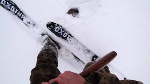 Охота на тетерева с лунок. Ушел лыжами в воду