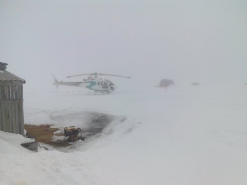 Беккадв. Пурга день без полётов.Таймыр