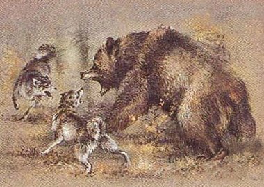 Сороковой — роковой
