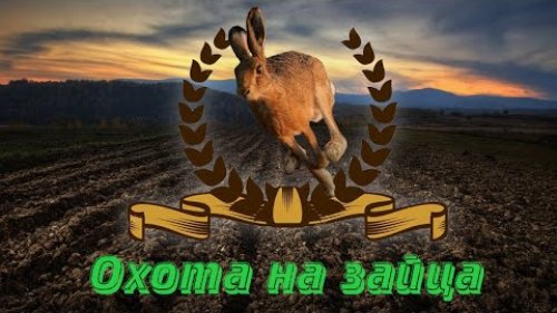 Охота на зайца.