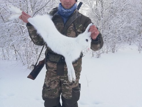 Воспользовался выходным в свою пользу)