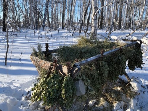 Освежаем прошлогодние кормушки