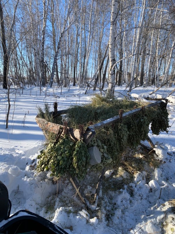 Освежаем прошлогодние кормушки