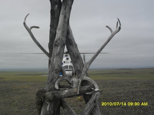 рога