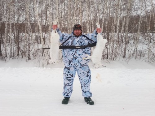 беляки