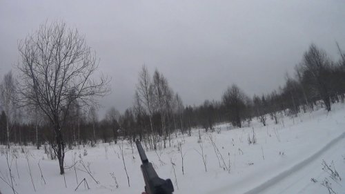 Blaser BBF 97. Ну нравится оружие