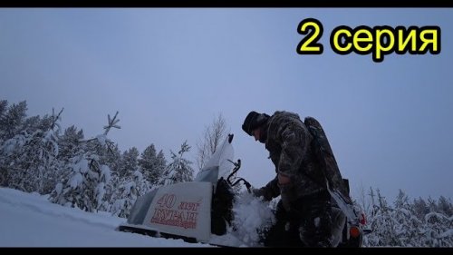 В тайгу на целый день. Охота. Чаёк на природе. Собаки умирают от усталости. 2 серия.