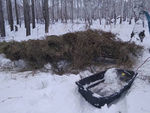 Биотехнические мероприятия