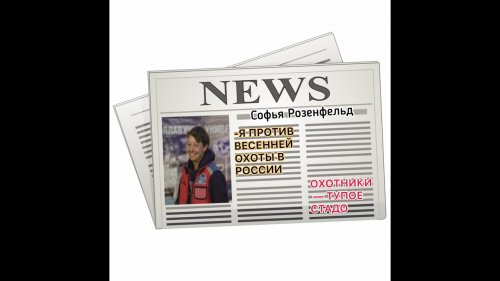 Я ВСЕ РАВНО ЗАКРОЮ ОХОТУ НА ГУСЯ . ОХОТНИКИ ТУ..Е .