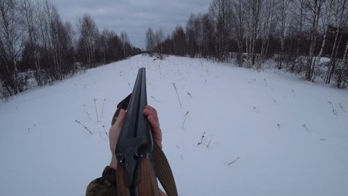 Охота на тетерева с лунок в Республике Коми. Стрельба в лет