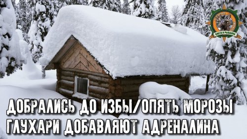 Наша таёжная изба/Долгий путь/Охота на глухаря