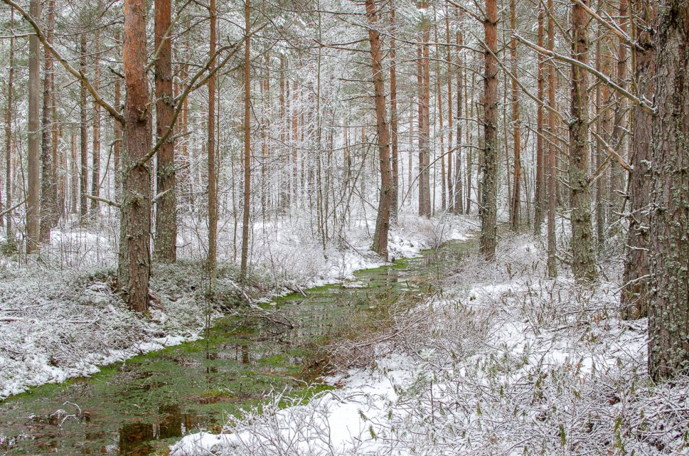 Конец зимы.