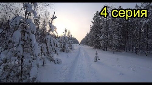 В тайгу на целый день. Охота. Чаёк на природе. Собаки умирают от усталости. 4 серия.