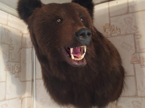 Первый мишка.