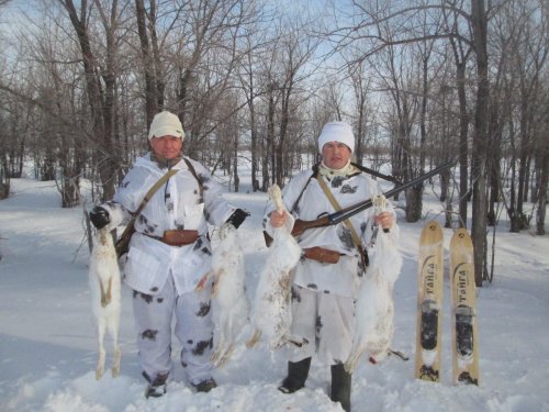 Февраль даёт свои плоды