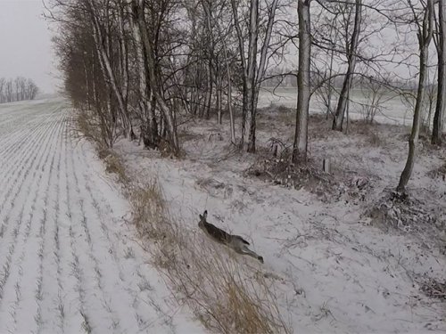 Подъем!!!