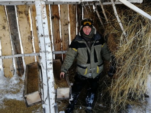 Помощь зверюшкам!