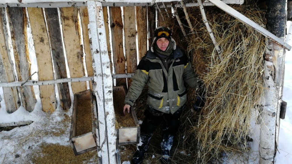 Помощь зверюшкам!