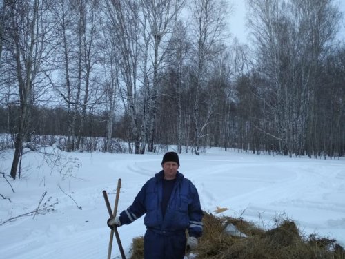 Окажем помощь косулям
