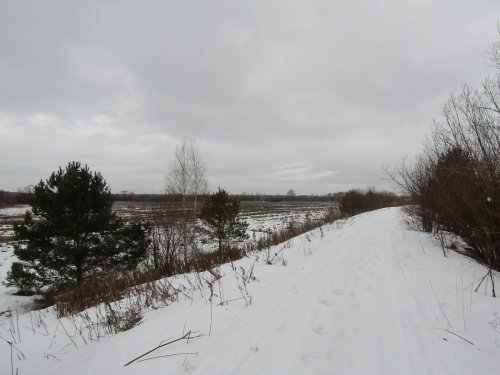 Март, дорога.