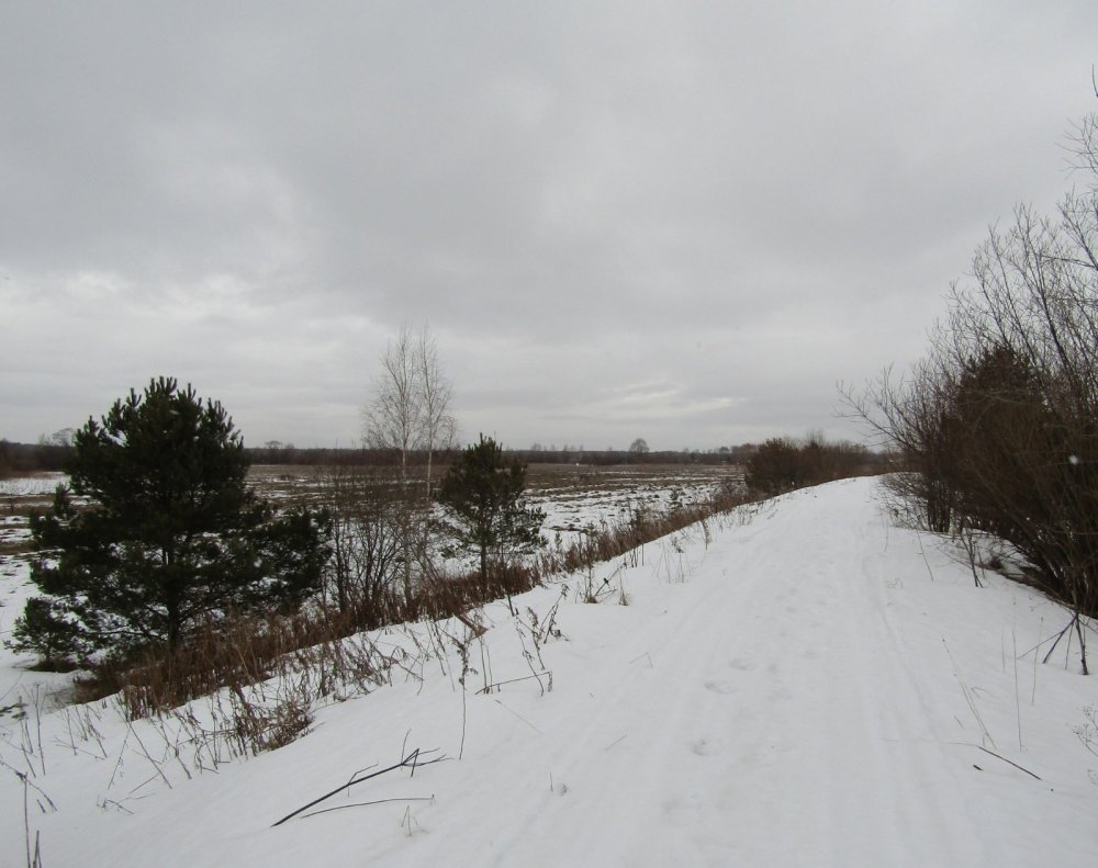 Март, дорога.