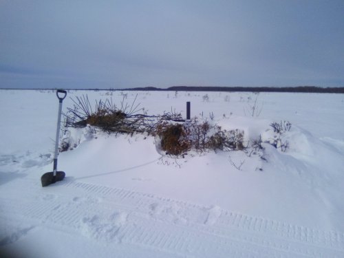 Скрадок