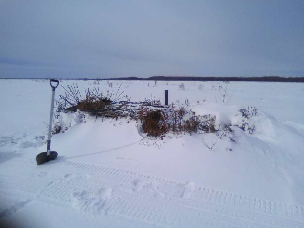 Скрадок