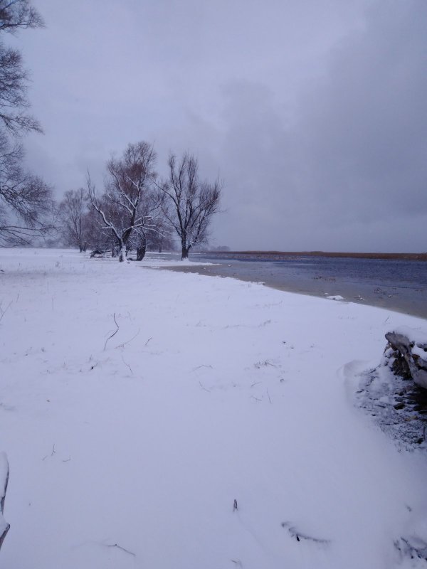 Весна
