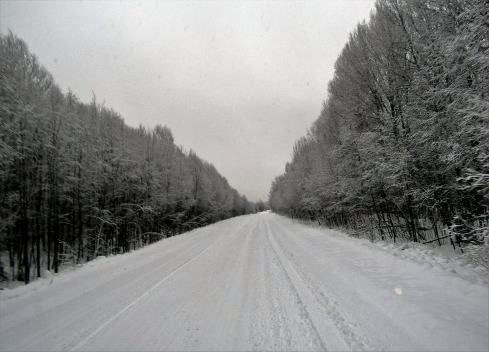 Дорога