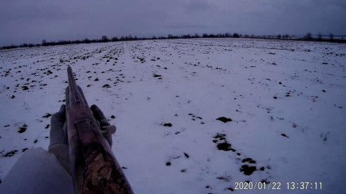 В охоте на зайца не всегда везет охотнику
