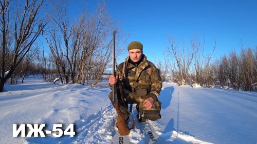 Охота с ИЖ-54 по закрытию сезона. Республика Коми.