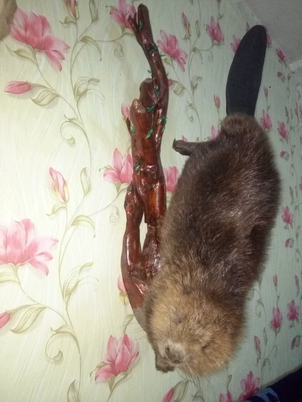 Бобрик