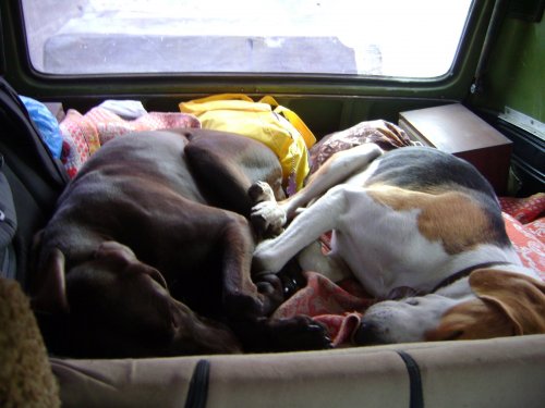 Долог путь на охоту !