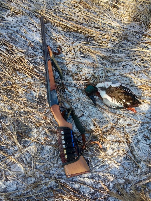Воспоминания весна 2019
